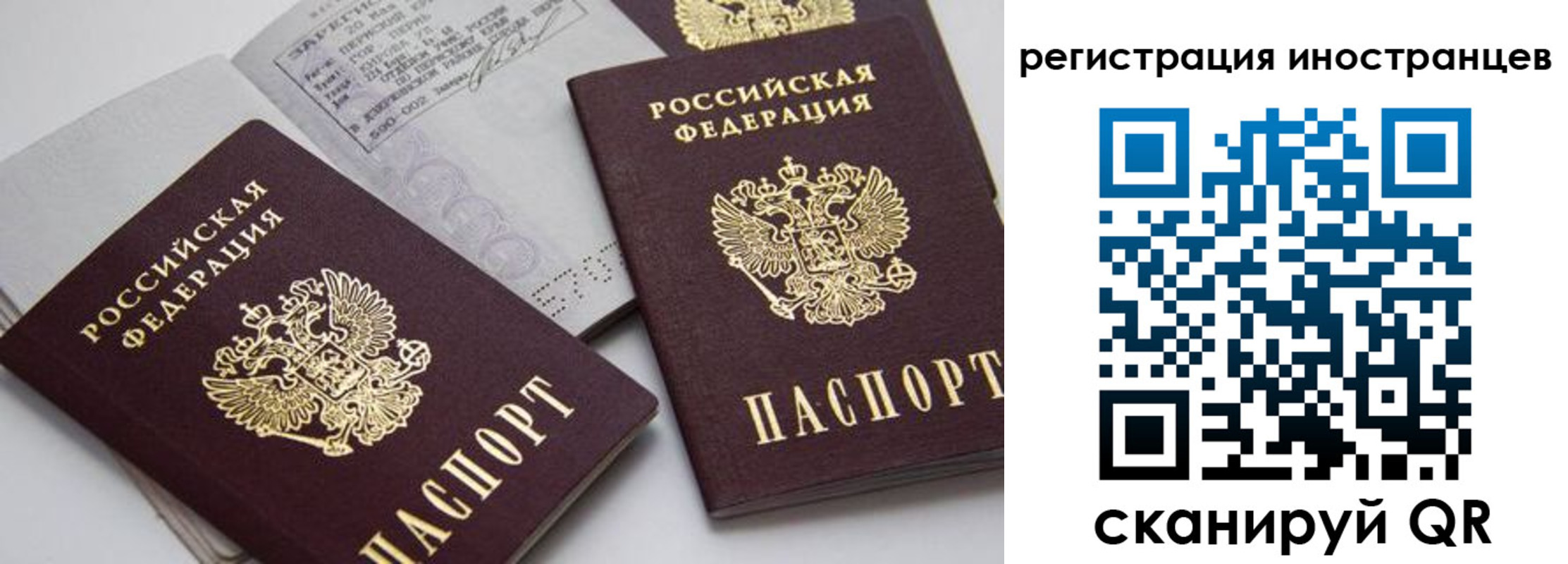временная регистрация для школы в Железногорске